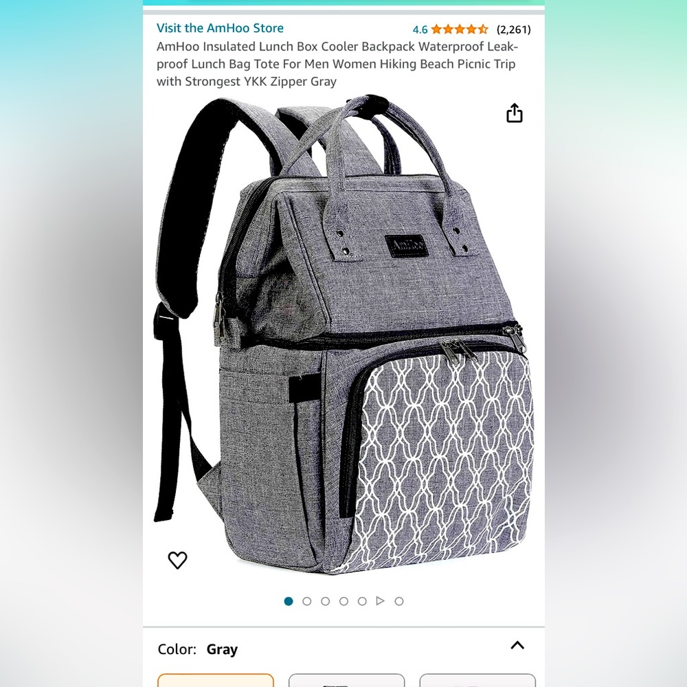 Insulated cooler backpack